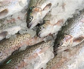 Arc-en-Ciel Trout Farm - Surfers Gold Coast 3
