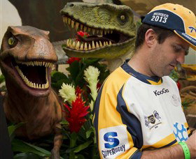 National Dinosaur Museum - Surfers Gold Coast 3
