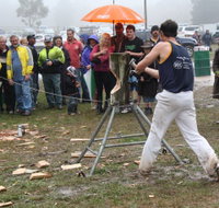 Lockyers Road Walking Track - Surfers Gold Coast