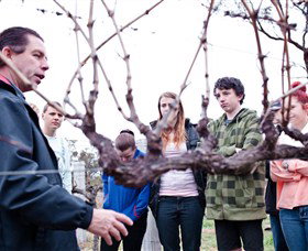 Varias Restaurant And Conference Centre Incorporating Banca Ridge Winery Cellar Door - Surfers Gold Coast 3