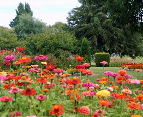 Alma Park - Surfers Gold Coast 0