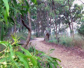 Mount Mutton Walking Trail - Surfers Gold Coast 0