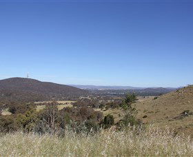 Mount Painter - Surfers Gold Coast 0