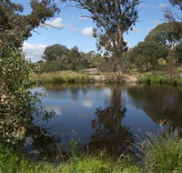 Cooleman Ridge - Surfers Gold Coast