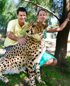 National Zoo & Aquarium - Surfers Gold Coast 0