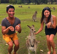 Runaway Tours - Surfers Gold Coast