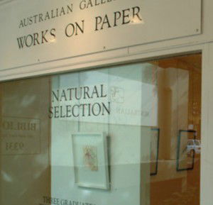 Australian Galleries - Roylston Street - Surfers Gold Coast 1