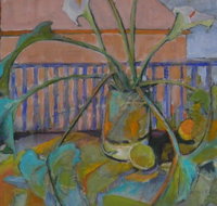 Gallery41 - Surfers Gold Coast