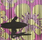 Iain Dawson Gallery - Surfers Gold Coast 2