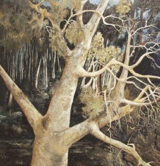 Kearns NSW Surfers Gold Coast