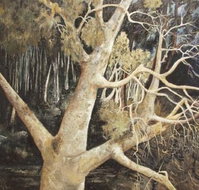 Ku-Ring-Gai Art Centre  Gallery - Surfers Gold Coast