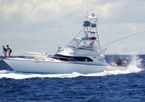 Amokura Charters - Surfers Gold Coast 2