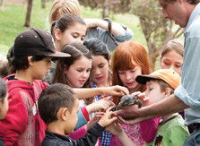 Blackbutt Reserve - Surfers Gold Coast 2