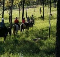 Hunter Valley Horse Riding and Adventures - Surfers Gold Coast