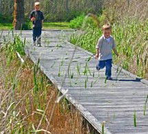 Hunter Wetlands Centre Australia - Surfers Gold Coast 1