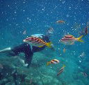 Imagine Cruises - Surfers Gold Coast