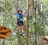 TreeTops Newcastle - Surfers Gold Coast