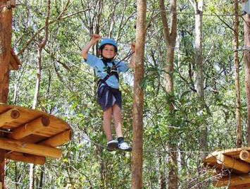 TreeTops Newcastle - Surfers Gold Coast 0