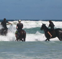 Pegasus Park Equestrian Centre - Surfers Gold Coast