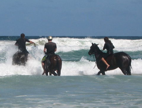 Pegasus Park Equestrian Centre - Surfers Gold Coast 0