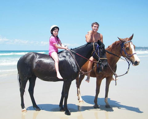 Pegasus Park Equestrian Centre - Surfers Gold Coast 1