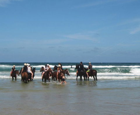 Pegasus Park Equestrian Centre - Surfers Gold Coast 2