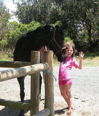 Pegasus Park Equestrian Centre - Surfers Gold Coast 3