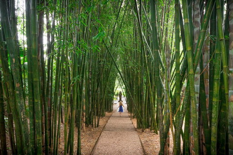 Crystal Castle & Shambhala Gardens - Surfers Gold Coast 1