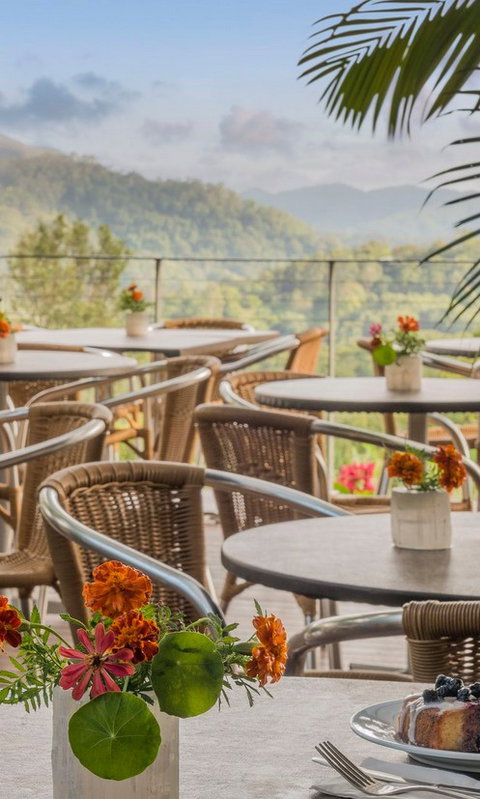 Crystal Castle & Shambhala Gardens - Surfers Gold Coast 2