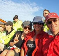 Byron Bay Whale Watching - Surfers Gold Coast