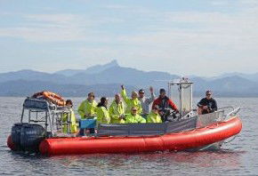 Byron Bay Whale Watching - Surfers Gold Coast 2