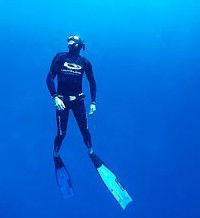 Byron Bay Dive Centre - Surfers Gold Coast 1