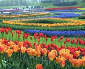 Botanica World Discoveries - Surfers Gold Coast 0