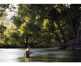Fly Fishing Tumut - Surfers Gold Coast 1
