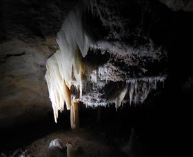 Country Charmâ„¢ Discovery Tours - Surfers Gold Coast 1