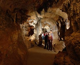 Country Charmâ„¢ Discovery Tours - Surfers Gold Coast 3