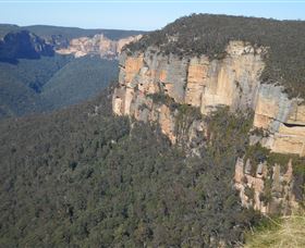 Country Charmâ„¢ Discovery Tours - Surfers Gold Coast 4