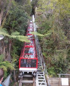 Country Charmâ„¢ Discovery Tours - Surfers Gold Coast 6