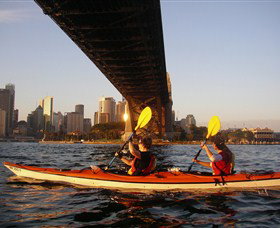 Natural Wanders - Surfers Gold Coast 2
