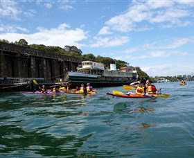 Natural Wanders - Surfers Gold Coast 5