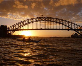 Natural Wanders - Surfers Gold Coast 6