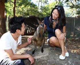 VIP Aussie Gold - Surfers Gold Coast 0
