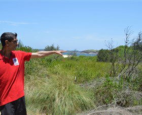 Kadoo Tours - Surfers Gold Coast 0