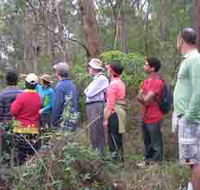 Boronia Tours - Surfers Gold Coast