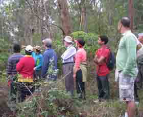 Boronia Tours - Surfers Gold Coast 0