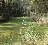 Second Ponds Creek walk - Surfers Gold Coast