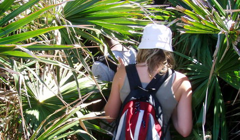 Palm Jungle Loop Track - Surfers Gold Coast 0
