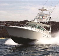 1300 Big Fish - Surfers Gold Coast