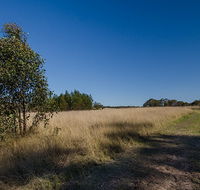 Scheyville horse riding trails - Surfers Gold Coast
