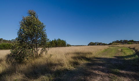Scheyville Horse Riding Trails - Surfers Gold Coast 0